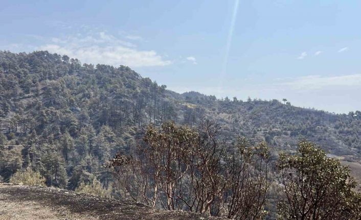 Kahramanmaraş’ta bin 500 hektar alanı etkileyen orman yangını kontrol altına alındı
