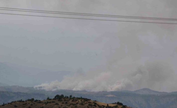 Kahramanmaraş’ta orman yangını
