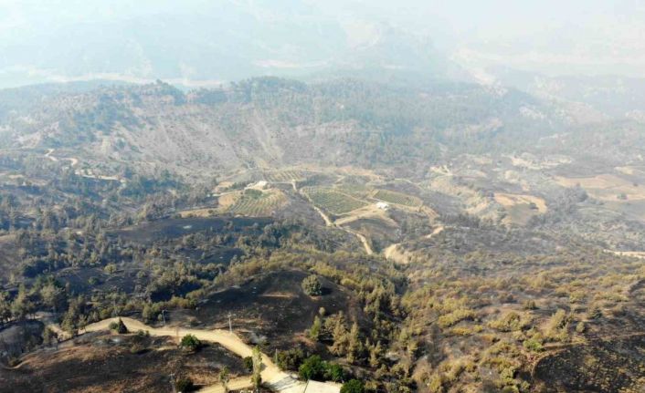 Kahramanmaraş’ta orman yangınına müdahale 3’üncü gününde de sürüyor