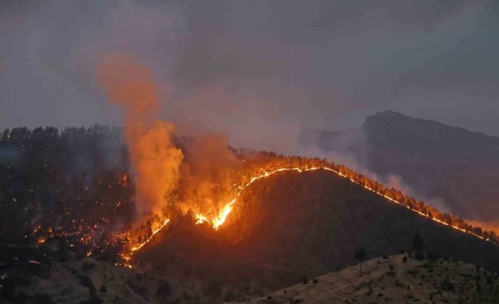 Kahramanmaraş’ta orman yangınına müdahale sürüyor