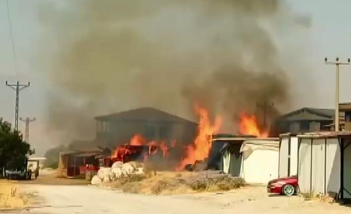 Kahramanmaraş’ta samanlık yangını