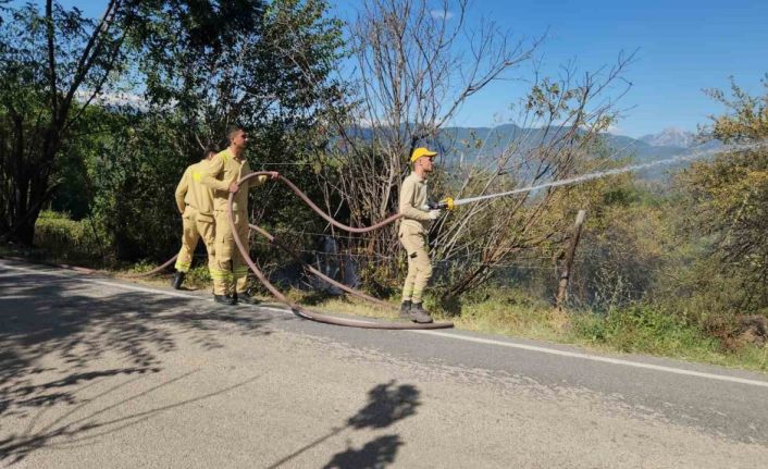 Kahramanmaraş’taki orman yangını söndürüldü