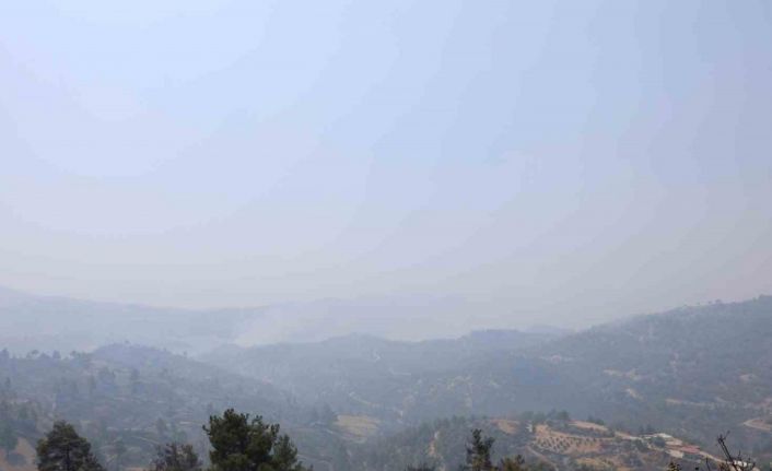 Kahramanmaraş’taki orman yangınında 4 ev yandı, 20 ev tahliye edildi