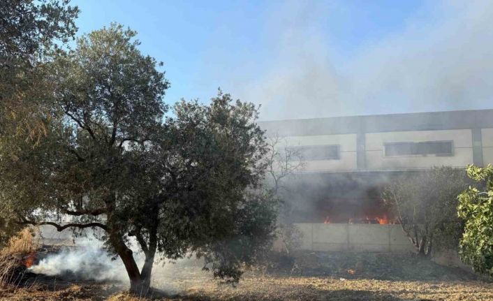 Kamyonette başlayan yangın fabrikaya sıçradı