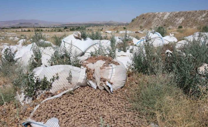 Kapadokya’da valiliğin uyarısını dinleyen olmadı