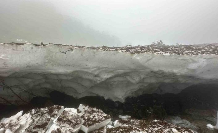Kar kütlesi altında kalan kadının cansız bedenine ulaşıldı