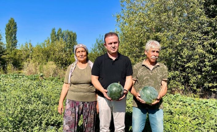 Karabağlar Yaylası’nda tarımsal projeler yerinde incelendi