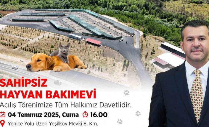Karabük Belediyesi Sahipsiz Hayvan Bakımevi açılıyor
