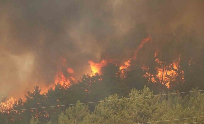 Karabük’te 29 saattir süren orman yangını yeniden alevlendi