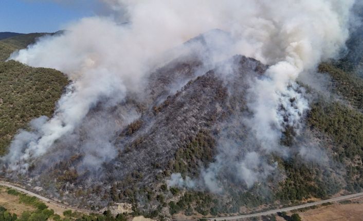 Karabük’te orman yangını