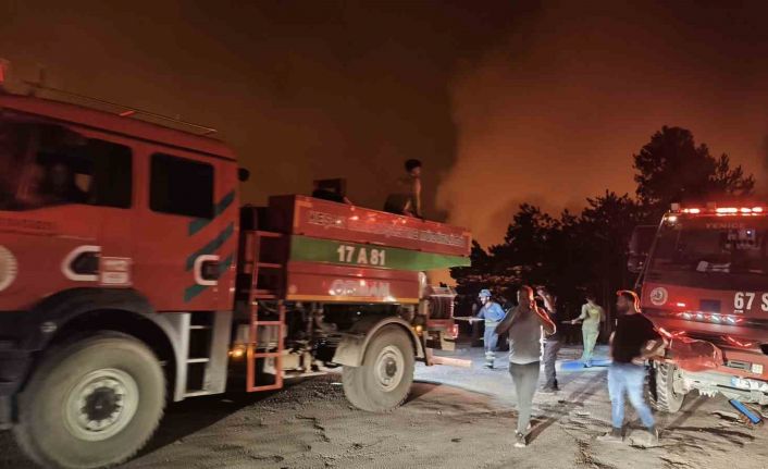 Karabük’te orman yangını büyüyor, iki mahalle tahliye edildi