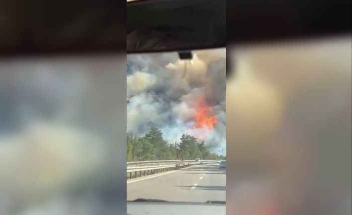 Karabük’te orman yangını çıktı