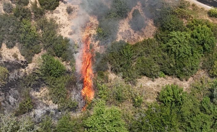 Karabük’te orman yangını kontrol altına alındı