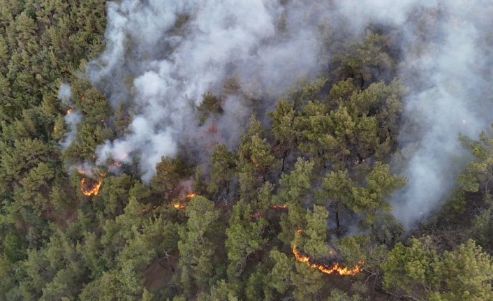 Karabük’te orman yangınına müdahale 6 saattir aralıksız sürüyor