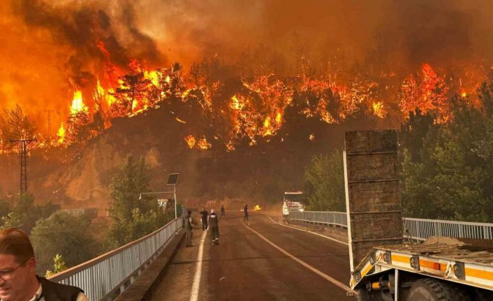 Karabük’te orman yangınında korkutan manzaralar