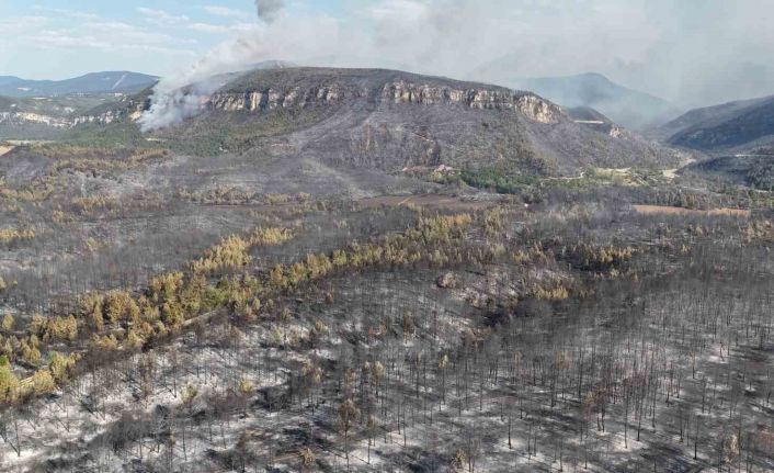 Karabük’te orman yangınlarındaki yürek burkan tahribat havadan görüntülendi