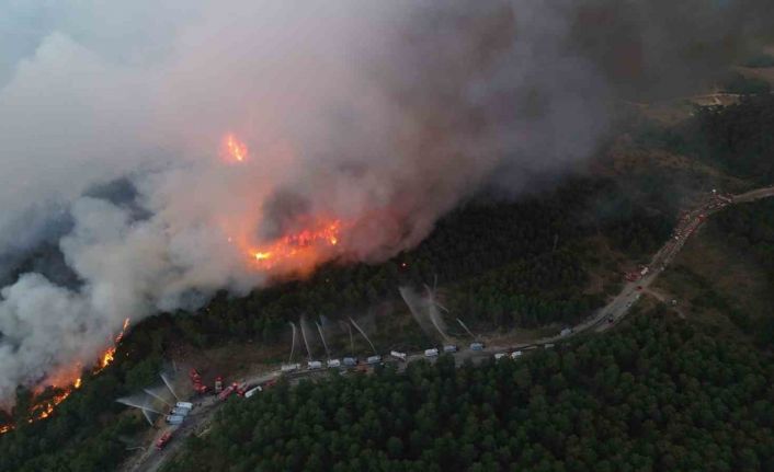 Karabük’te yeni orman yangını
