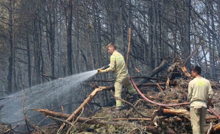 Karabük’teki orman yangınında 120. saate giriliyor