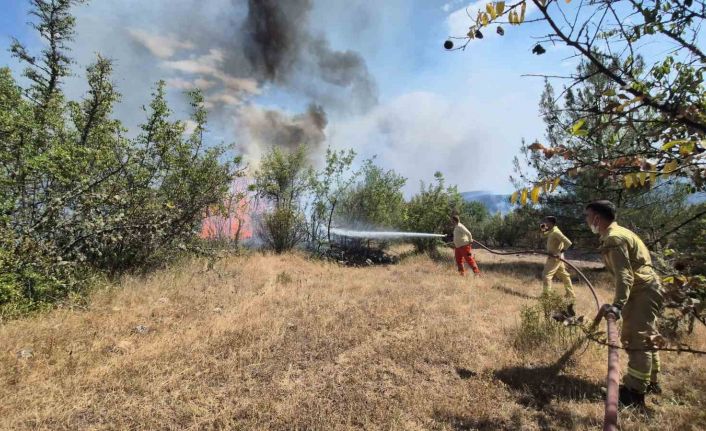 Karabük’teki orman yangınlarını söndürme çalışmaları aralıksız sürüyor