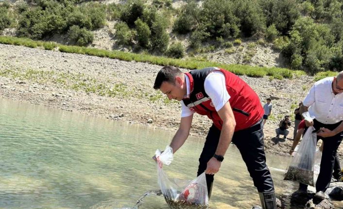 Karacaören Göleti’ne ilk kez 10 bin pullu sazan yavrusu bırakıldı