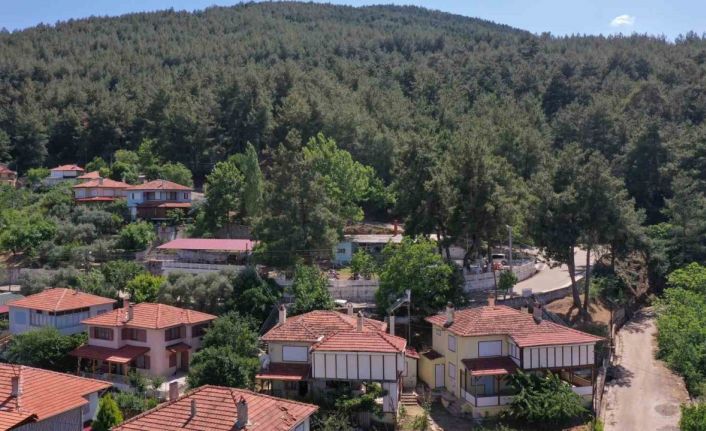 Karacasu Belediyesi’nden yangın uyarısı: "Bir kıvılcım, bir felakete sebep olabilir"