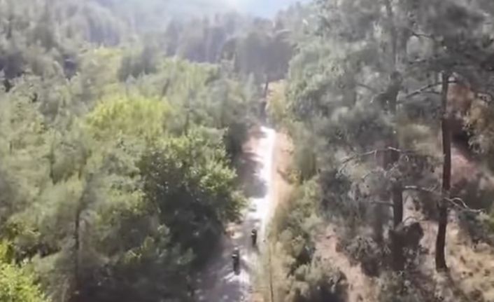 Karacasu’da orman yangıları için kaymakamlıktan uyarı