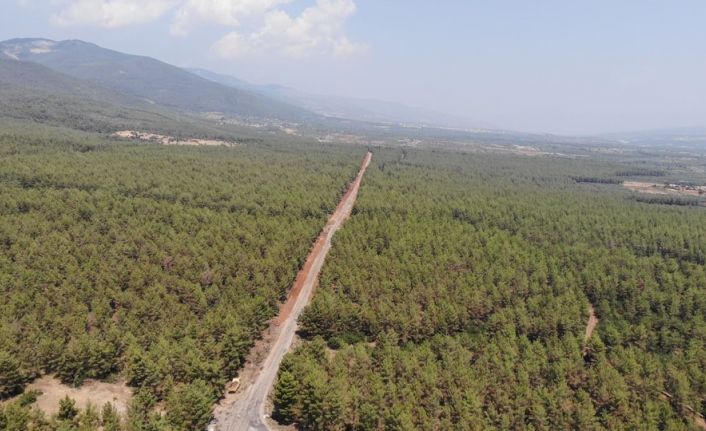 Karacasu’da ormanlarda sıkı denetim