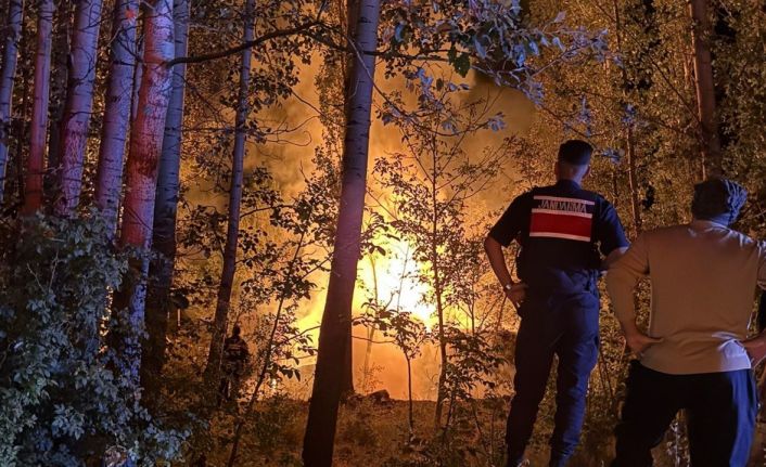 Karaman’da baraka yangını