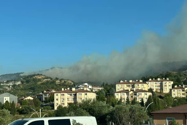 Karamürsel’de orman yangını başladı