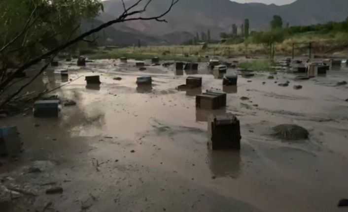 Kars’ta sel felaketi: Arı kovanları sular altında kaldı