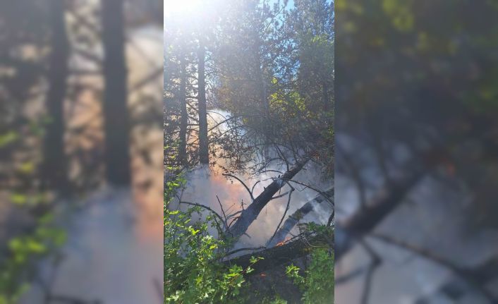Kastamonu’da çıkan orman yangınında 2 dekar alan zarar gördü