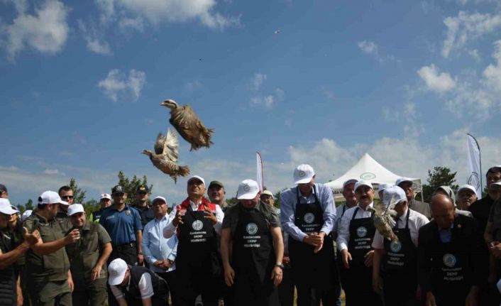 Kastamonu’da doğaya 2 bin 100 kınalı keklik salındı