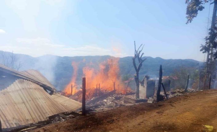 Kastamonu’da ev yangını
