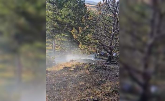 Kastamonu’da ormanlık alanda çıkan yangın büyümeden söndürüldü