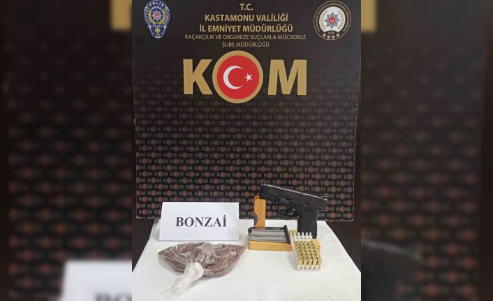 Kastamonu’da uyuşturucu operasyonu: 1 gözaltı