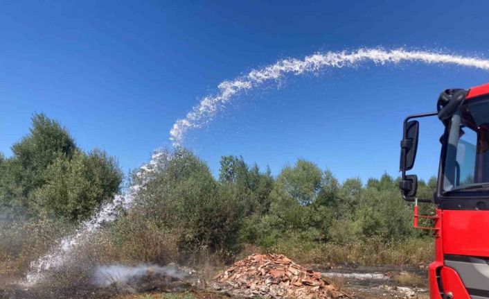 Kavak’ta ot yangını korkuttu
