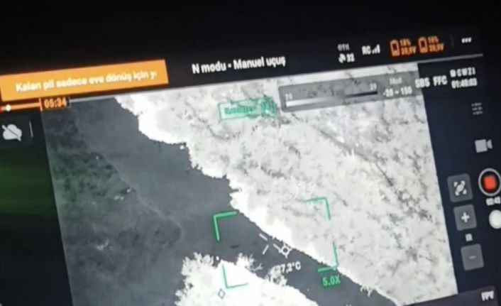 Kaybolan 3 büyükbaş hayvan termal dronla bulundu