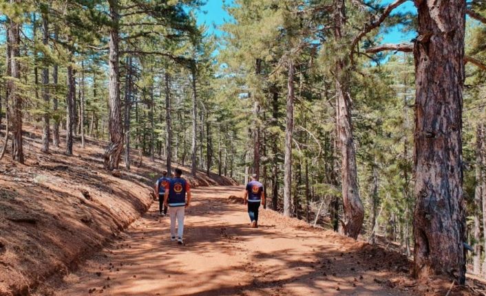 Kayseri’de ormanlar jandarma tarafından korunuyor