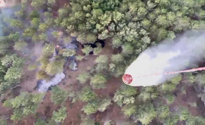 Kazdağları’nda çıkan orman yangını kısa sürede kontrol altına alındı