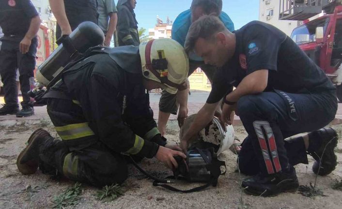 Kedisi içerdeyken evi evi yanan Ukraynalı kadın yaşadığı şoku anlattı