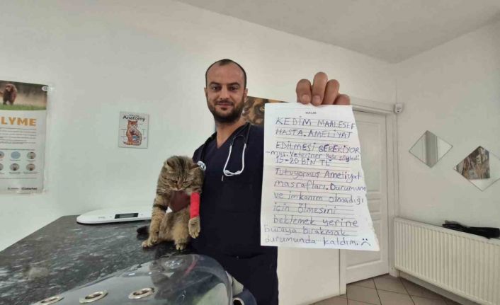 Kediyi not yazıp çanta içinde veteriner kiliğinin kapısına bıraktılar