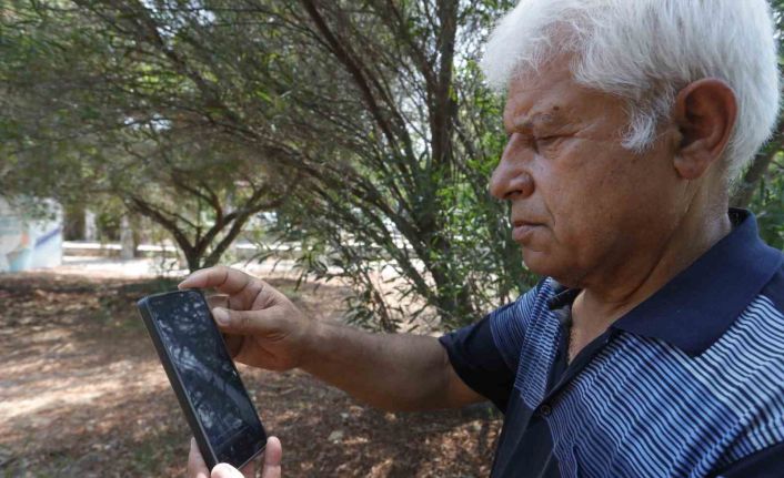 Kemer sahilinde asılsız dev köpekbalığı paylaşımına suç duyurusu