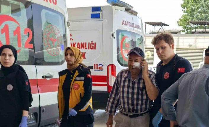 Kendini serinletmeyen bahçıvanı darp etti