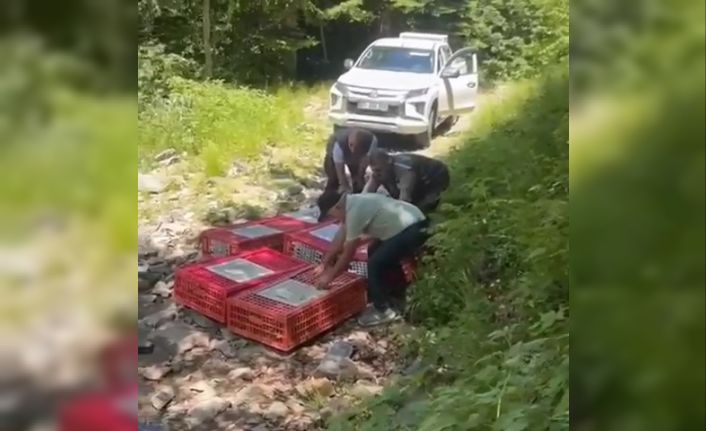 Kene ile mücadele timleri doğaya salındı