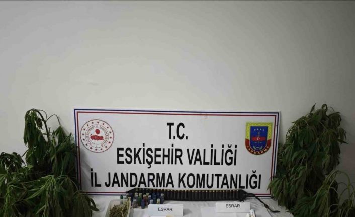 Kenevir bitkisi ekimi yapılan ikamete operasyon düzenledi