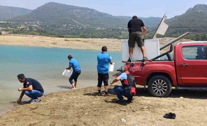 Kilgen Barajı’na 321 bin yavru sazan, baraja bırakıldı