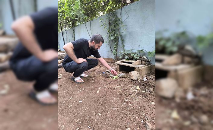 Kıraathane sahibi aç kalan kaplumbağaları sahiplendi