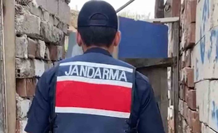 Kırıkkale’de evin bahçesinde bin 53 kök kenevir ele geçirildi: 2 gözaltı