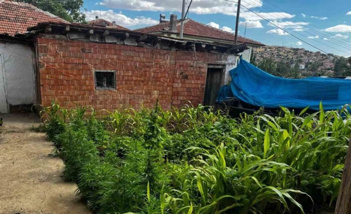 Kırıkkale’de uyuşturucu operasyonu: Aynı aileden 3 şüpheliye gözaltı