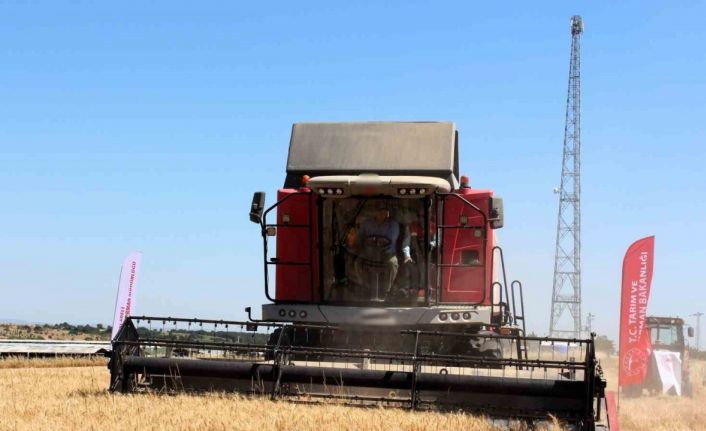 Kırklareli Valisi Turan, buğday hasadına katıldı